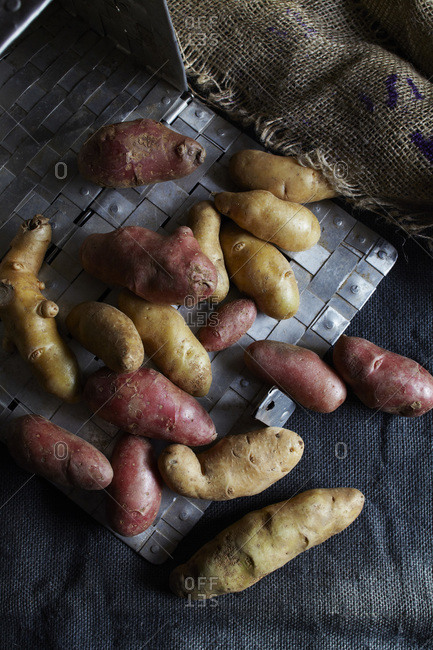 Brown and red fingerling potatoes on gray cloth with silver basket