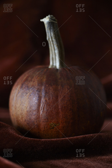 Pumpkin sitting on pumpkin colored velvet cloth