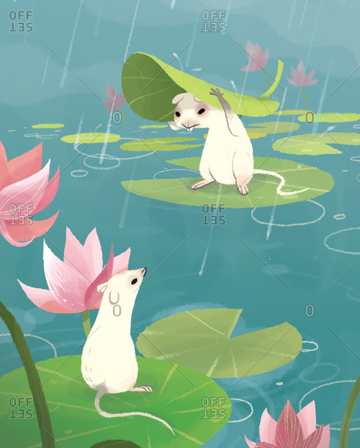 Cute mice sitting on water lilies on a lake in a rainy day