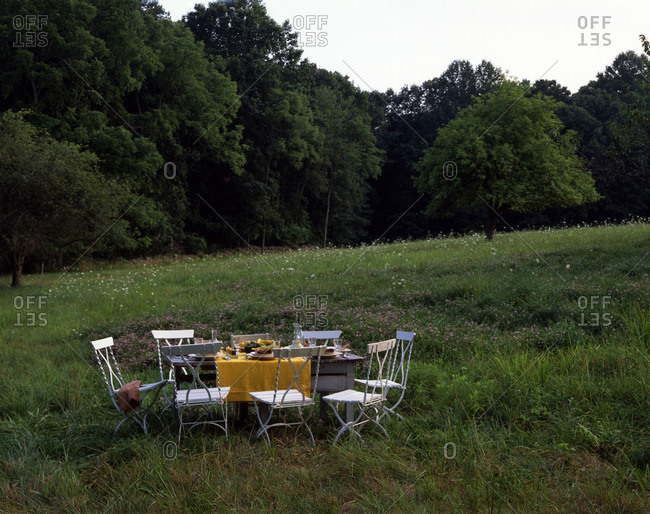 Laid table in the nature, forest in the background.