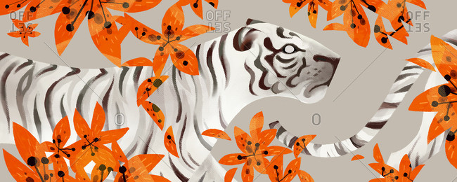 White tiger and orange flowers