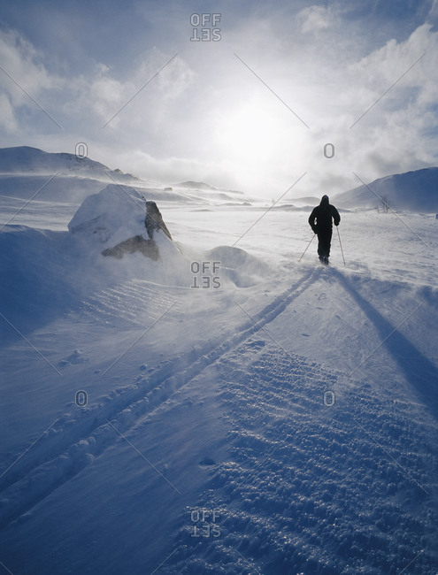 Cross-country skier in winter landscape