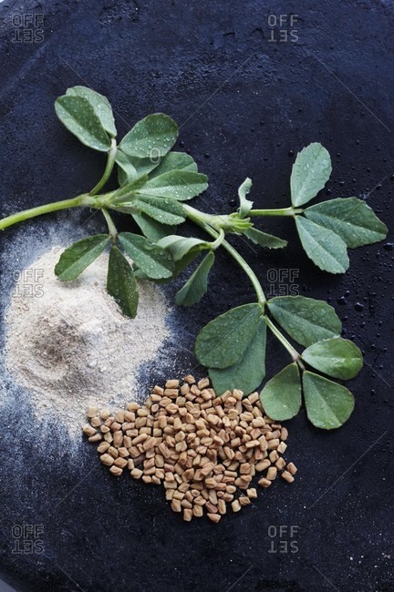 Fenugreek; Fresh, Powdered and Seed; From Above