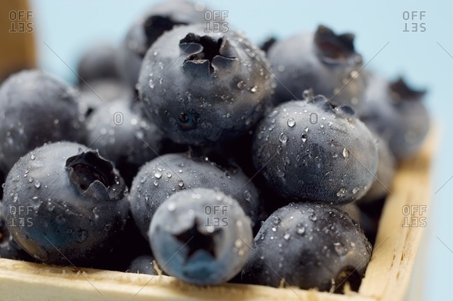 Blueberries with drops of water in woodchip basket (close-up)
