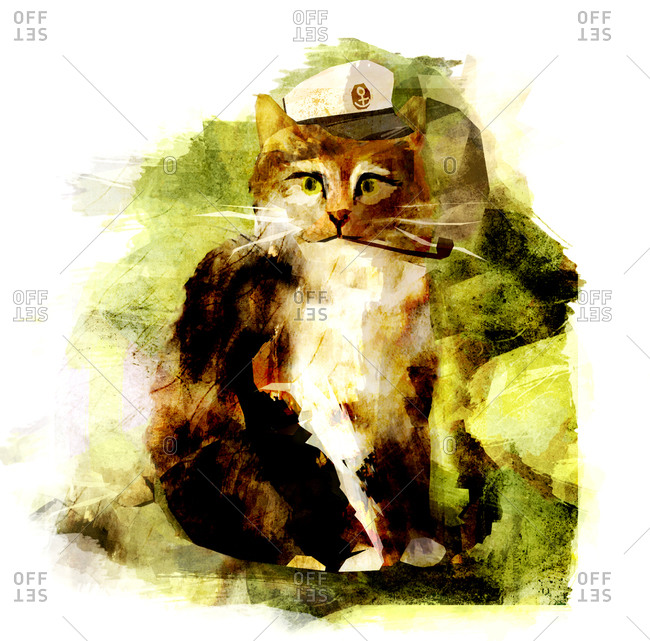 A grey and brown cat wearing a captains hat with a pipe against a leaf green background