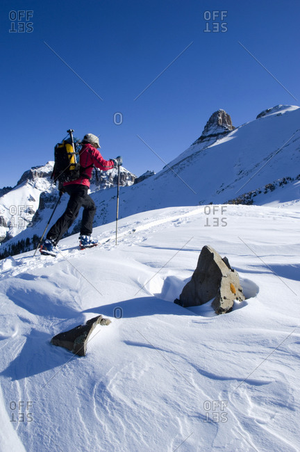 A man climbing up a wind-sculpted,  snow covered slope wearing backcountry ski equipment in the San Juan Mountains,  Uncomphagre N