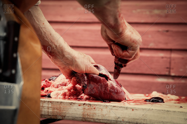 Butcher preserving edible parts, removing inedible parts