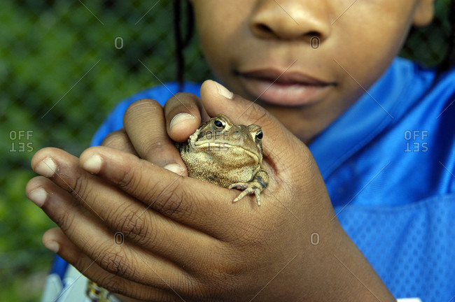 A child holds a frog for study during an outdoor classroom