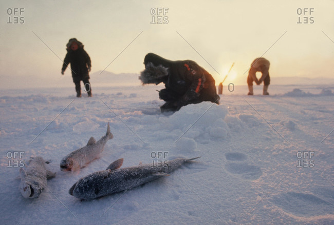 An Arctic midnight sun illuminates men fishing for Arctic char