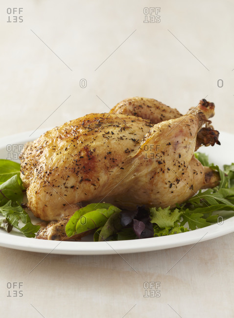 Whole herb roasted chicken over greens