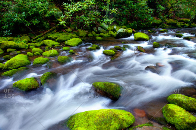 Spring flowing on Roaring Fork in Great Smoky Mountains National Park, Tennessee