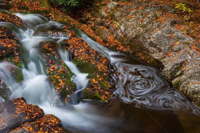Autumn stream in the Smokies, Great Smoky Mountains National Park, Tennessee, USA
