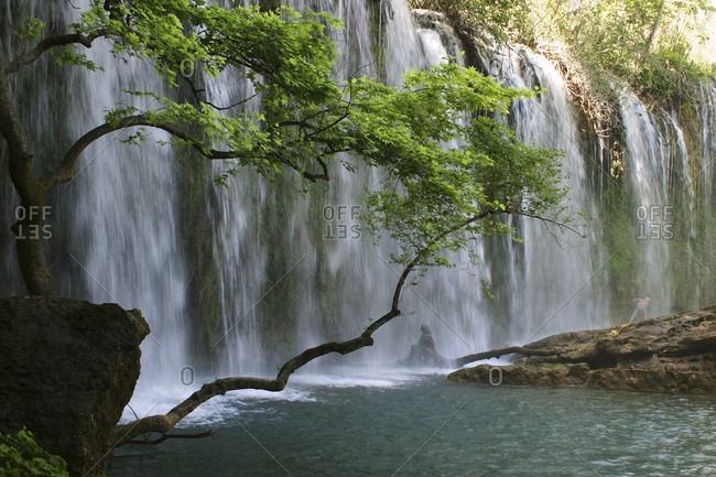 View of a waterfall and trees