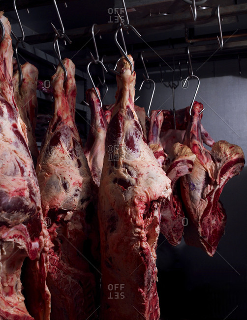 Fresh raw meat hanging on meat hook in slaughterhouse