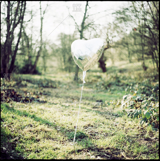 Heart Shaped Silver Balloon In Grassy Woodland