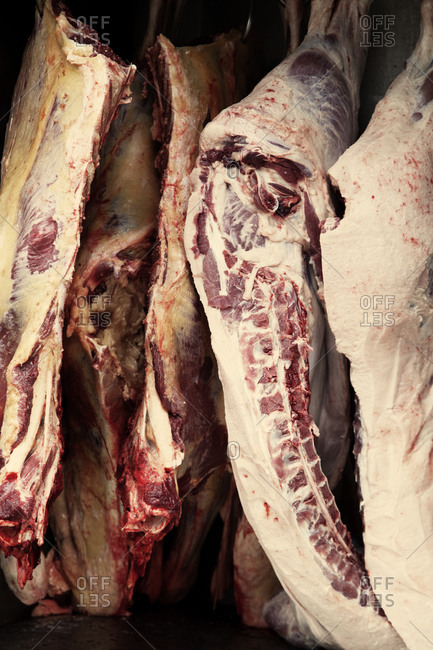Four sections of butchered pig hanging on meat hooks