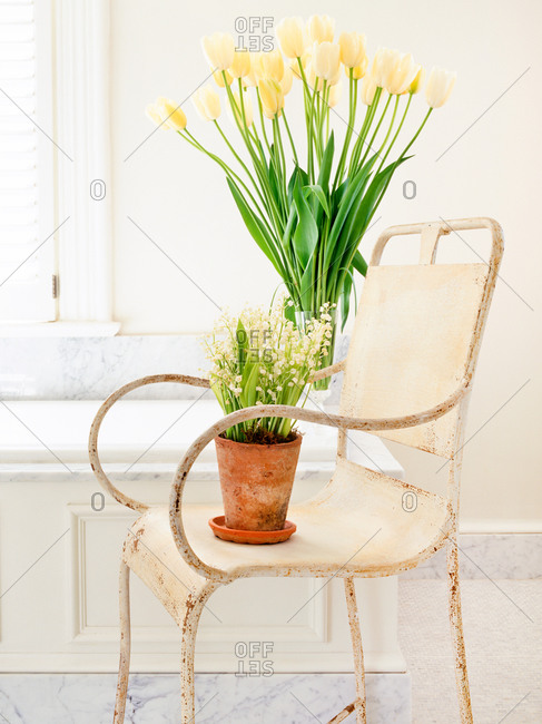 Bathroom chair with spring flowers