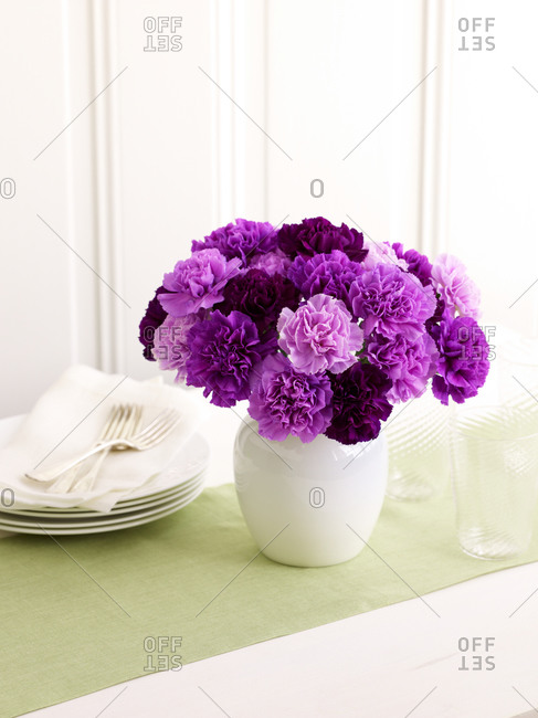 Deep purple carnations in vase