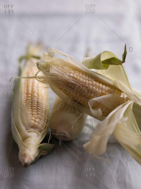 Ear of sweet corn on tablecloth