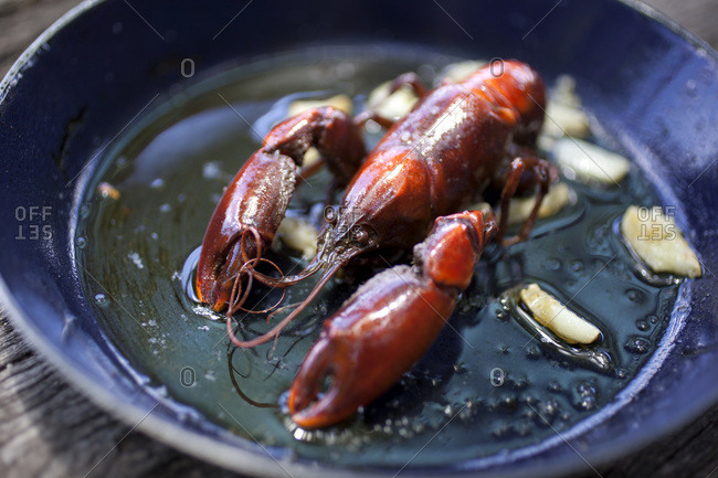 Freshwater Yabby (Cherax destructor) cooked in oil with garlic