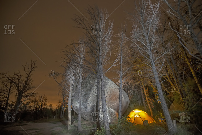 Tent next to large boulder and ghostly forest killed by pine beetle.