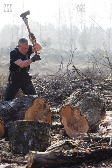 Senior man chopping tree