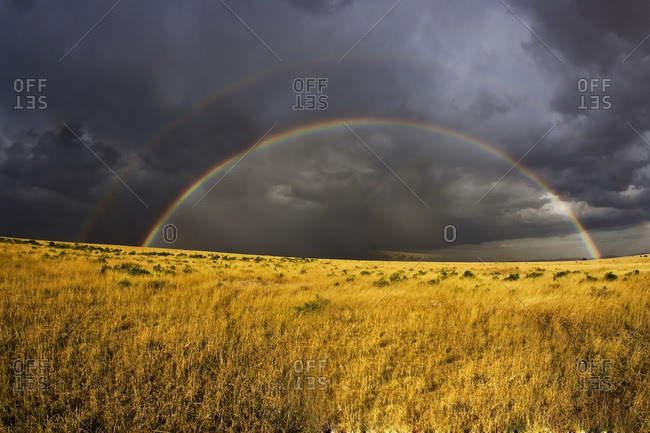 A rainbow appearing through a misty after noon in the Maasai Mara Kenya