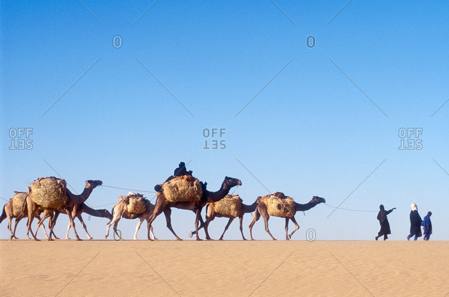 Tuareg journey across the desert to Bilma to buy salt for trade