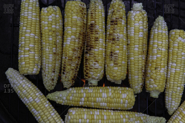 Corn cobs grilling over charcoal