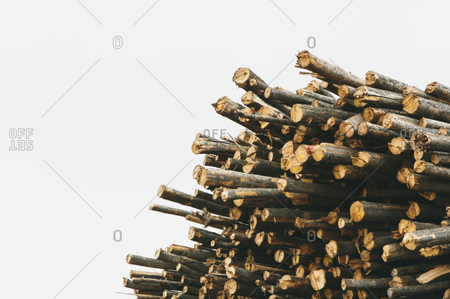 A stack of cut timber logs, Lodge Pole pine trees at a lumber mill