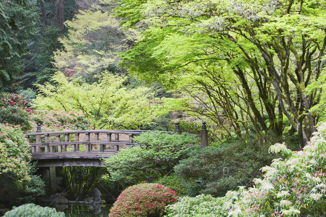Wooden footbridge in Japanese Garden, Portland, Oregon