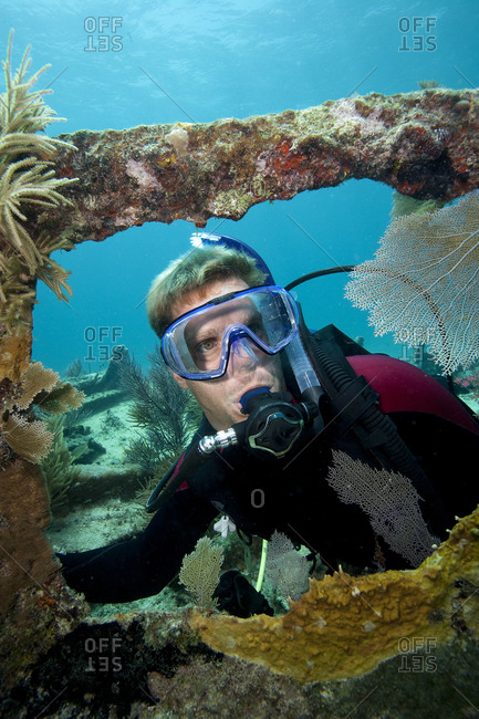 Scuba diving on the shipwreck \