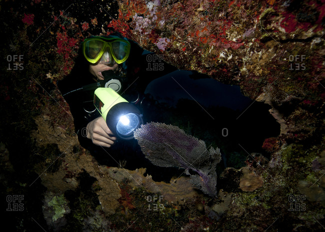 Diver illuminates sea fan during night dive