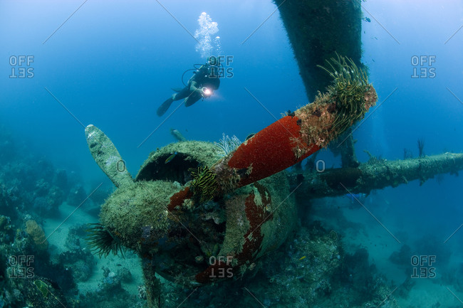 A diver holding an underwater light approaches the wreck of a Japanese plane, Papua New Guinea
