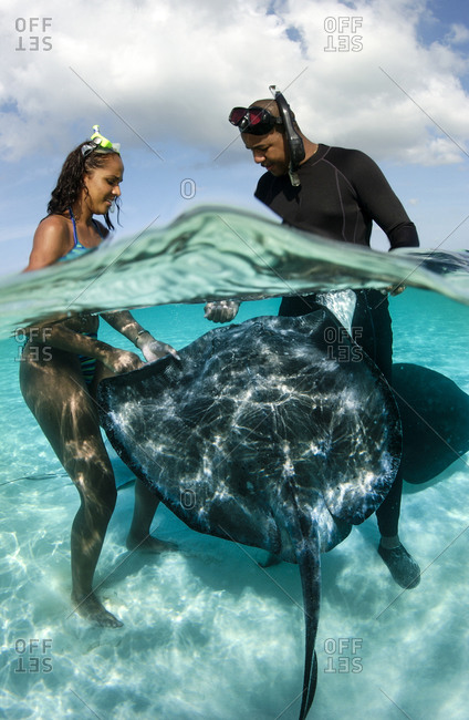 A couple interacts with southern stingrays,  Stingray city, Grand Cayman