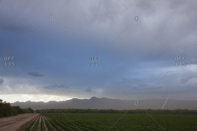 Landscape of farm with lighting