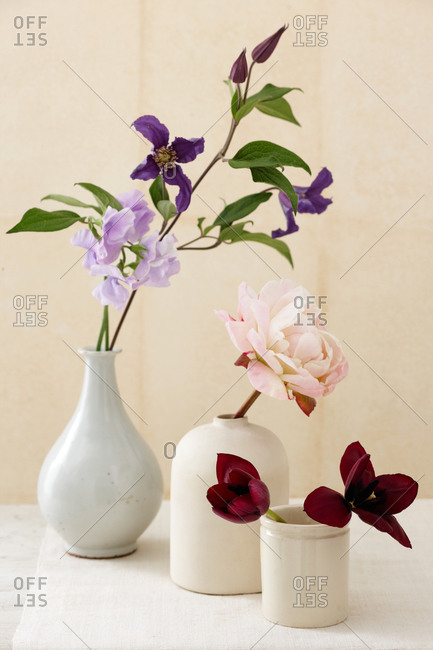 Different Type Of Flowers In Different Shape Of Vases Stock