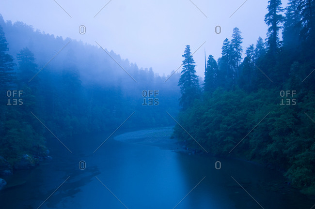 River passing through a forest in the rainy morning