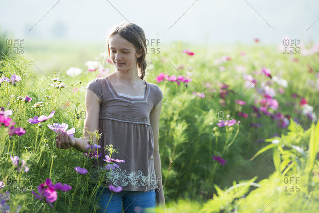 A young girl in a field of flowers