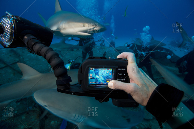 Photographer captures image of another underwater photographer capturing a similar image