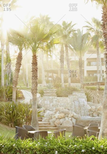 Palm trees and fountain on resort property