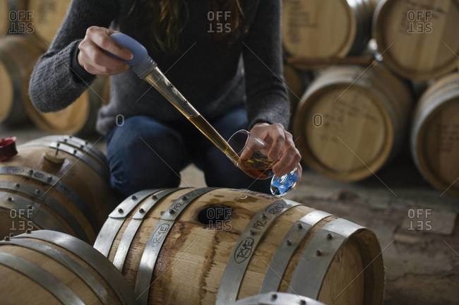 Barrel tasting in whiskey distillery