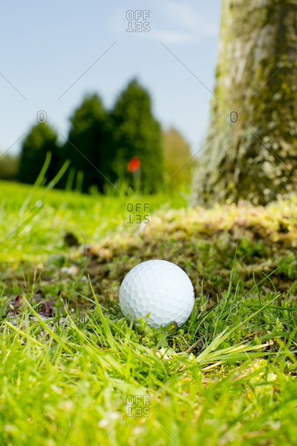 Close-up of a golf ball in rough