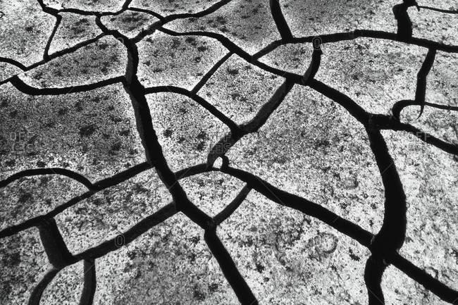 Cracked mud in drought conditions in the Okavango Delta, Botswana