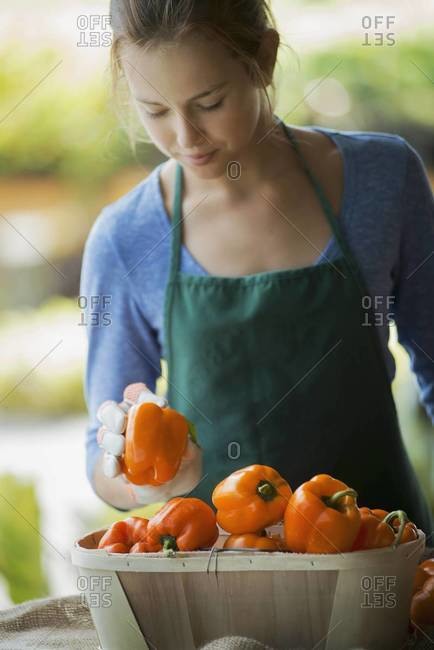 Young girl arranging freshly harvested bell peppers on market