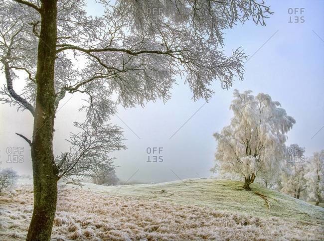 Winter scene of Glen Dochart, Highlands, Scotland