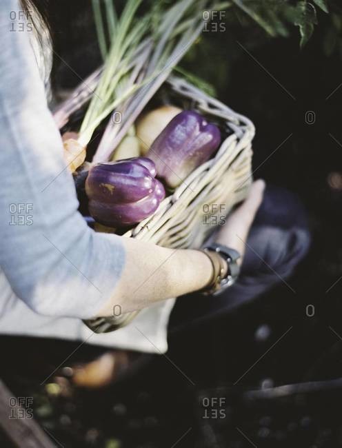A young woman in a vegetable garden, carrying a basket with freshly harvested organic vegetables, peppers and egg plant