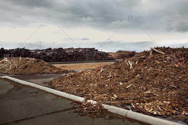 Stacked logs and waste on timber yard