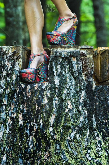 Legs of woman in colorful shoes on stub in forest