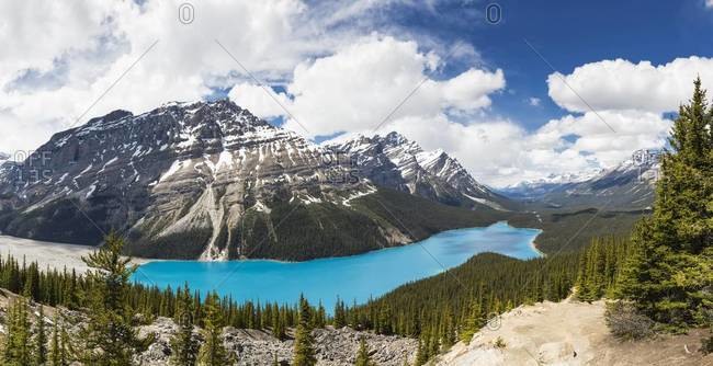 Canada, Alberta, Rocky Mountains, Jasper National Park, Banff National Park, Peyto Lake